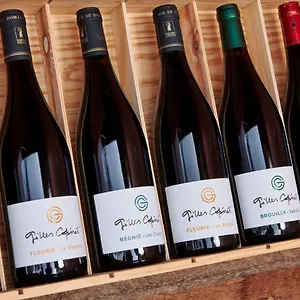 Bed & Breakfast Domaine Gilles Coperet- Artisan-vigneron- D'hotes Les Glycines -, Regnie-Durette